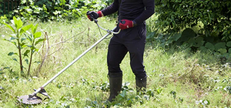 草木伐採サービス